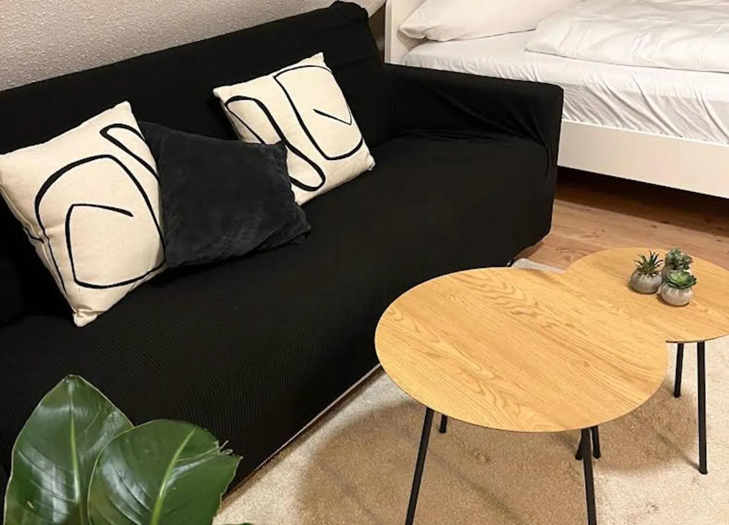Nami - Robin - Helle Apartments Mitten In Der Stadt contacts