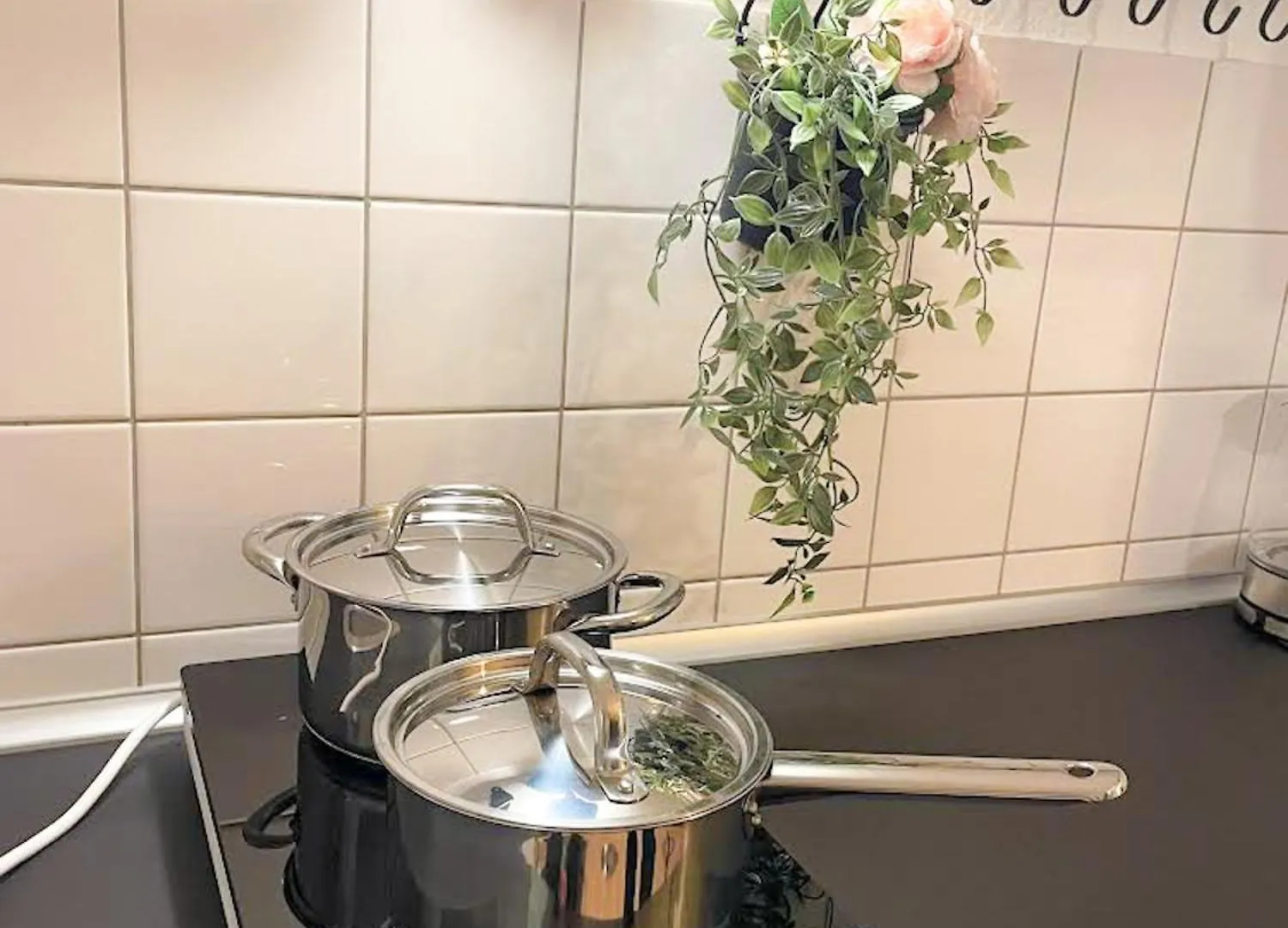 Nami - Robin - Helle Apartments Mitten In Der Stadt Memmingen Germany